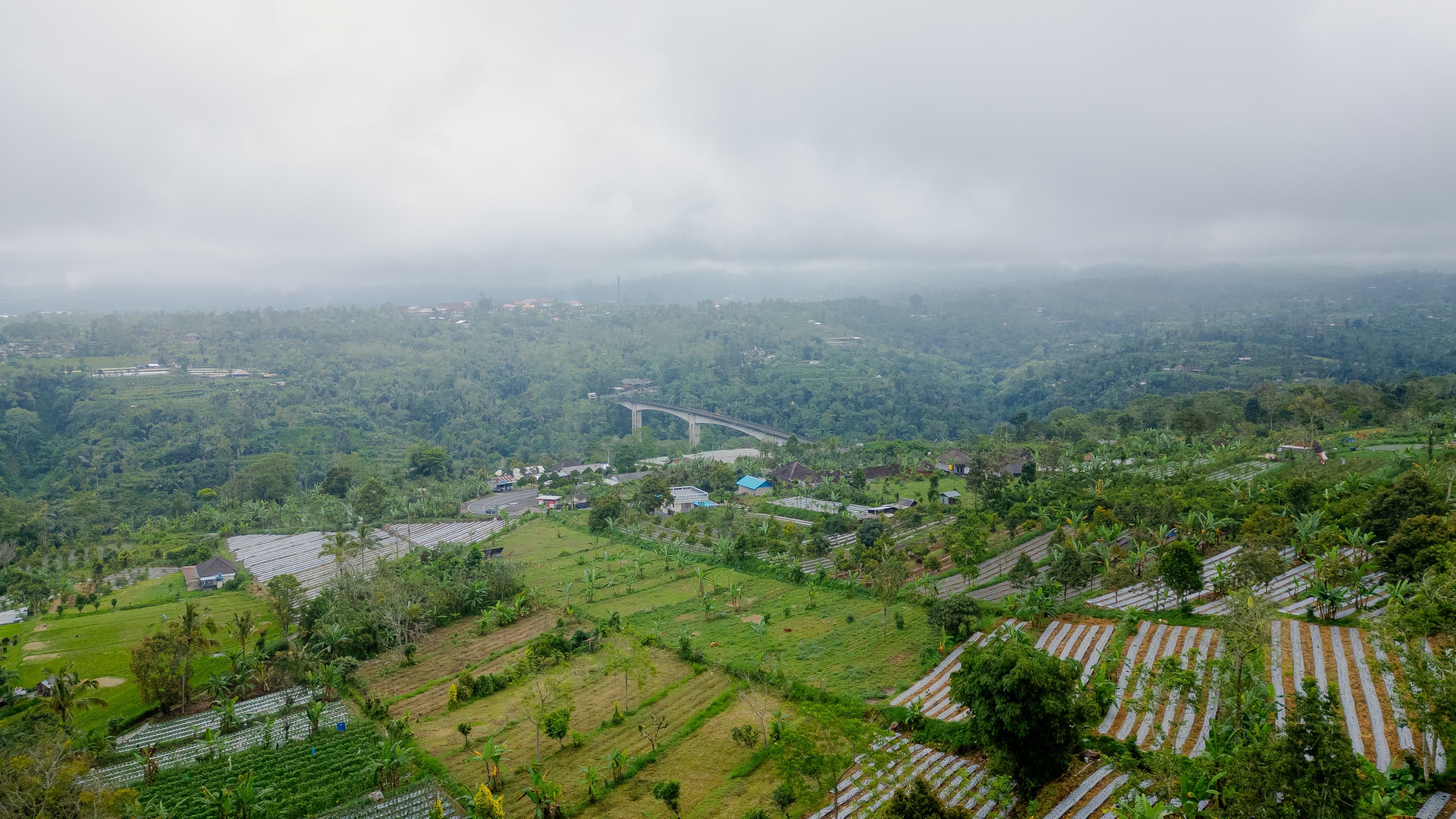 Top 5 Alasan Kenapa Kamu Harus Beli Tanah Kavling Pelaga!