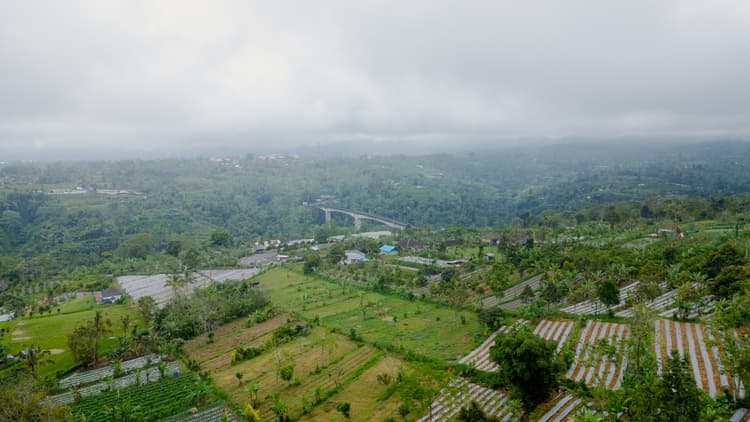 Top 5 Alasan Kenapa Kamu Harus Beli Tanah Kavling Pelaga!
